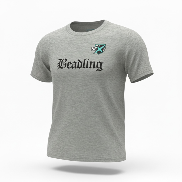 The NEXT Triblend Tee
